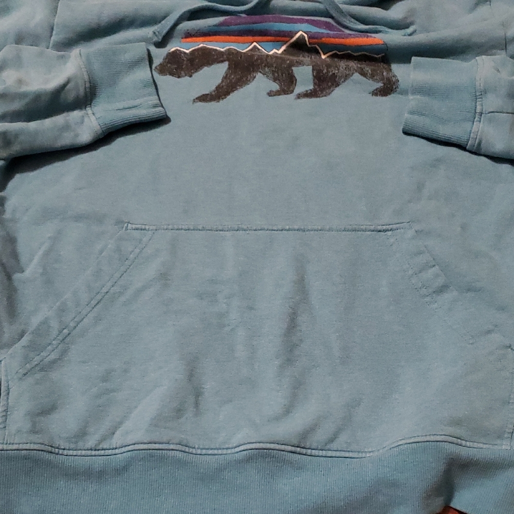 Patagonia Light Blue Hoodie with Bear Graphic - Picture 5 of 10